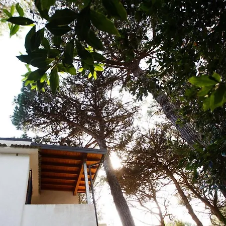 Bianca Rosolina Mare